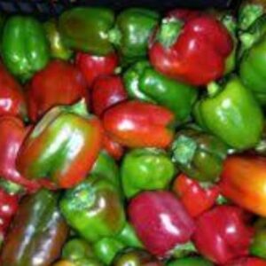 Fresh red and green capsicum